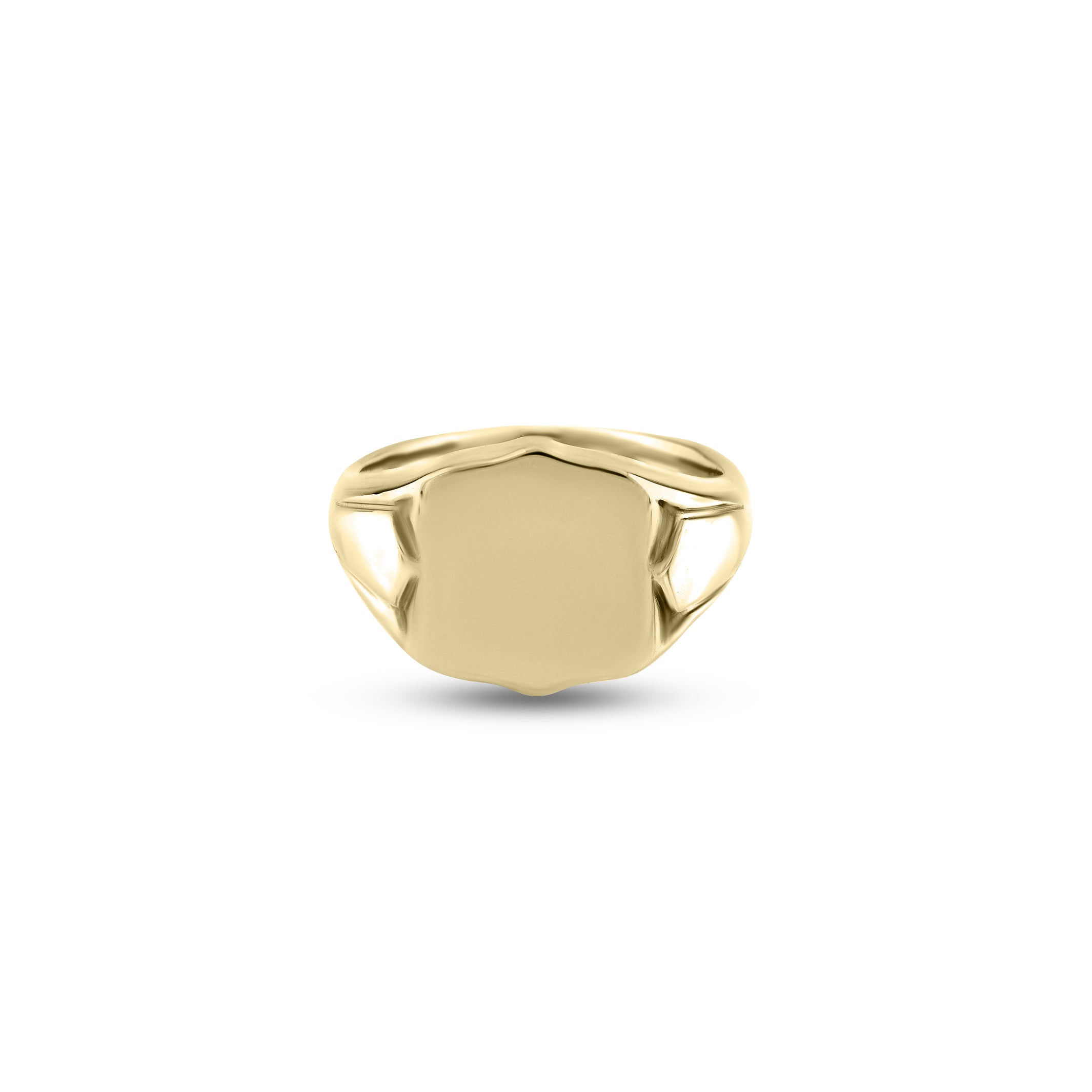 Anthony Paul signet ring,14 x 12mm shield, full coat-of-arms ready.